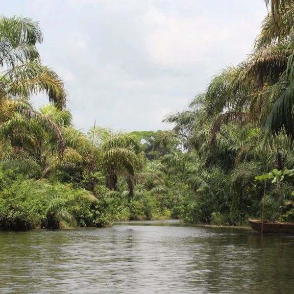 Black river of Adjarra