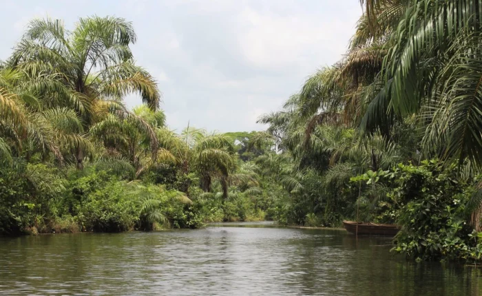 Black river of Adjarra