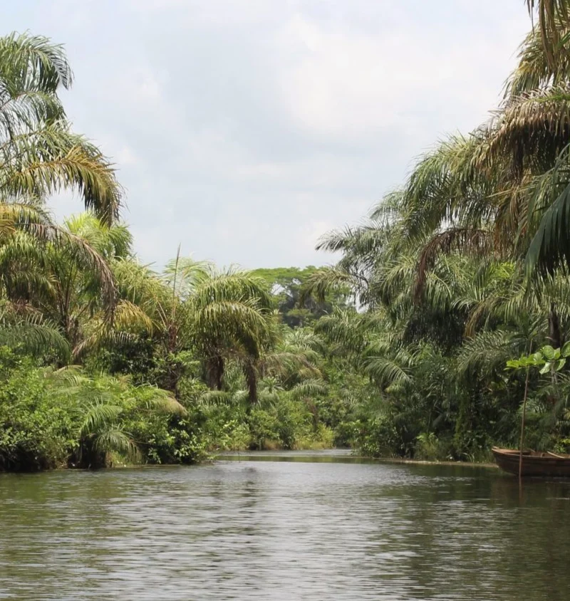 Black river of Adjarra