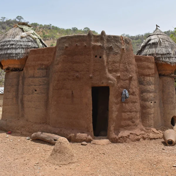 Somba Country Tour (Tata Somba Houses)