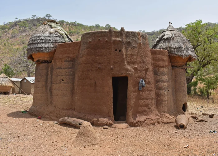 Somba Country Tour (Tata Somba Houses)