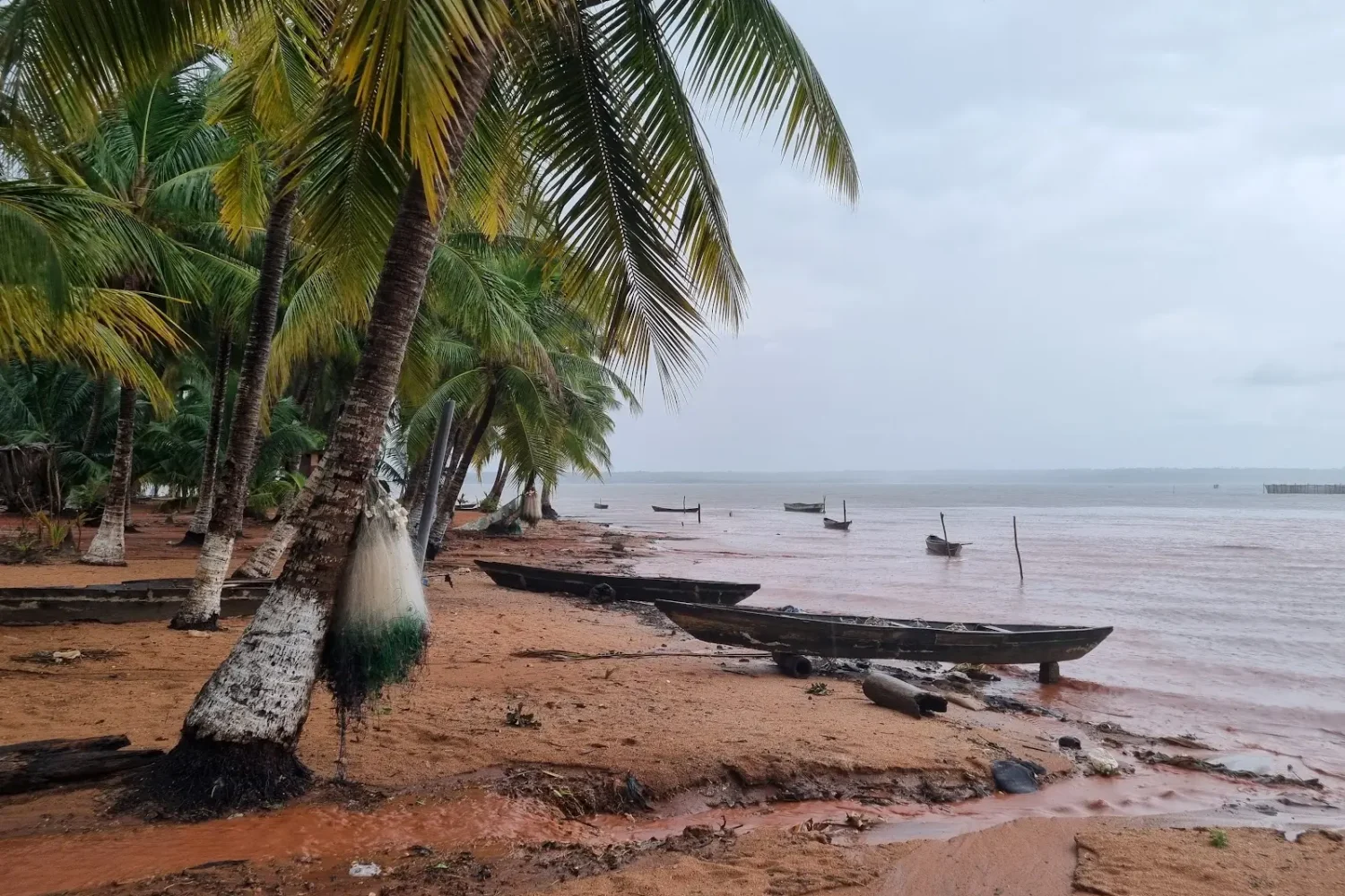 Ouidah Beaches and Sacred Forest